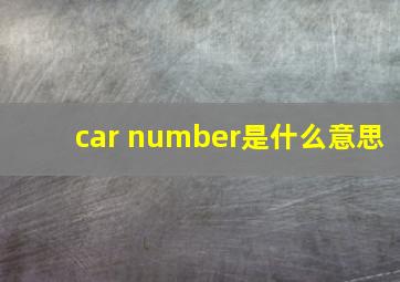 car number是什么意思